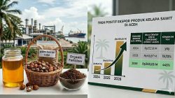 Nilai Ekspor Sawit Lewat Pelabuhan Aceh Melonjak Tajam Jadi Rp360 Miliar