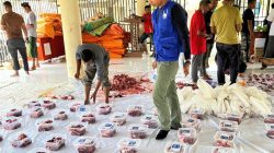 Islamic Relief Indonesia Salurkan 274 Sapi Melalui Program Double Qurban