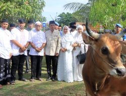 Polda Aceh Salurkan 46 Hewan Kurban ke Pesantren dan Desa