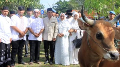 Polda Aceh Salurkan 46 Hewan Kurban ke Pesantren dan Desa